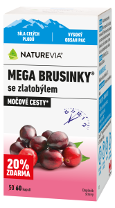 MEGA BRUSINKY