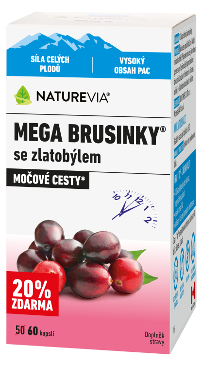 MEGA BRUSINKY