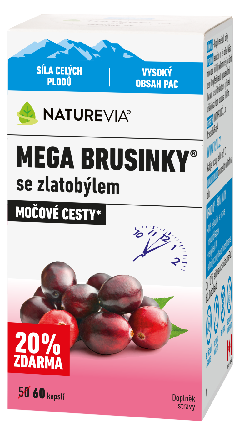 MEGA BRUSINKY