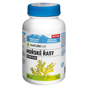 MOŘSKÉ ŘASY