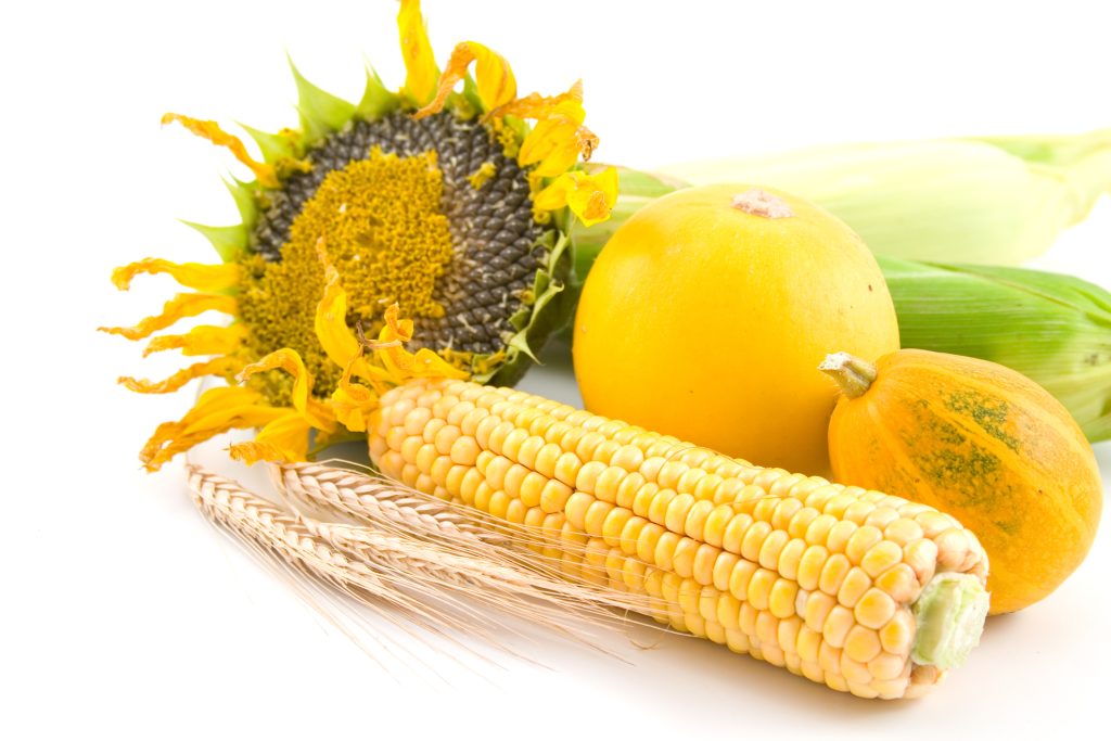 Co jsou fytosteroly a jak pomáhají snižovat cholesterol?